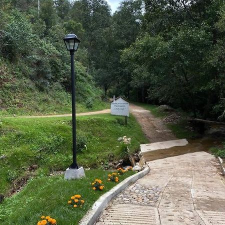 Habitacion Rancho Las Moras San Mateo Rio Hondo エクステリア 写真