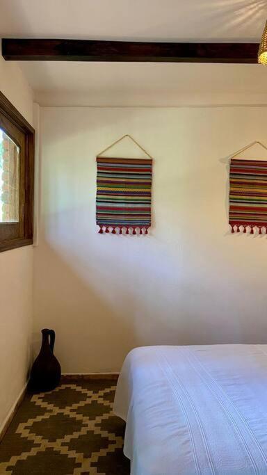 Habitacion Rancho Las Moras San Mateo Rio Hondo エクステリア 写真
